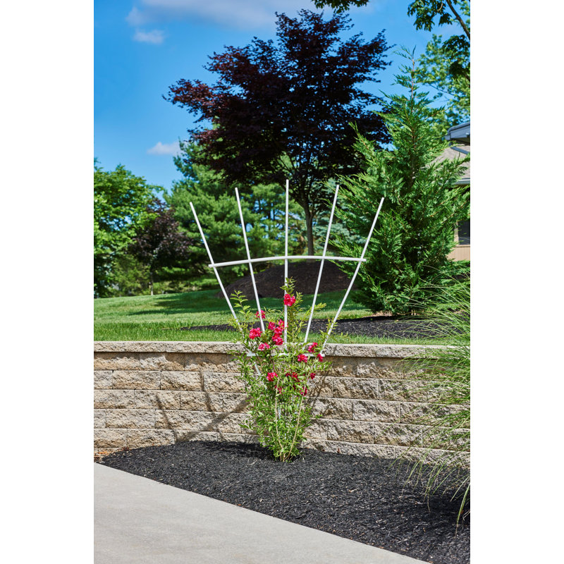 Superior Plastic Products/Key Link Spoke Vinyl Fan Trellis & Reviews